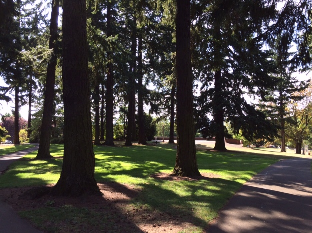 The land occupied by Kenilworth Park and most of the Kenilworth neighborhood was part of the land claim owned by Clinton Kelly, a Methodist minister from Kentucky who settled in the area in 1848. In 1909 the Portland Park Board purchased 9 acres from Kelly with funds from a 1908 bond measure created specifically to acquire land for parks in Portland. In 1910, Park Superintendent Emanuel Mische created a design for the park that was inspired by the park's natural topography and vegetation. The design included a bandstand, tennis courts, sports field, wading pool and play area, sand courts, walkways, and vista points. Today, the basic layout of the park remains intact and is indicative of the strength and appeal of Mische's original design. 